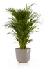 Pflanztopf Ecopots Oslo Kunststoff Ø 35 cm H 30,5 cm taupe Produktbild-Vorschau 10