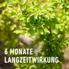 COMPO Bäume,Hecken, Sträucher Langzeit-Dünger - 2 kg für Produktbild-Vorschau 10