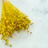 Flachs Getrocknete - (Leinen) - Gelb Produktbild-Vorschau 3