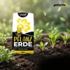 Galamio Pflanzerde torfreduziert 60l Produktbild-Vorschau 5