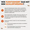 Schlupfwespen gegen Lebensmittelmotten - 12 Karten (4 Produktbild-Vorschau 4