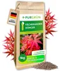 Purgrün Fächerahorn-Dünger 1 kg Produktbild-Vorschau 1