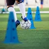 Sada překážek Relaxdays, 18dílná, agility pro psy a Náhled obrázku produktu 5