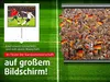 Maclean TV Stativleinwand MC-680 112" 1:1 200x200 Leinwand Produktbild-Vorschau 4