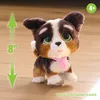 Just Play furReal Walk-A-Lots Bernedoodle, interaktives Produktbild-Vorschau 3