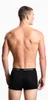 Pánské boxerky Emporio Armani 3 Pack | Trunk Core Logo Band Náhled obrázku produktu 4