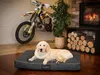 A golden retriever dog lies on a dog bed in front of a motorcycle and a fireplace. Anteprima dell’immagine prodotto