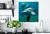 MuchoWow® Poster Wasser - Delphin - Blau 50x50 cm - Produktbild-Vorschau 3