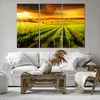Bild auf Leinwand - Leinwandbild - Land Weingut Pflanzung - Produktbild-Vorschau 6
