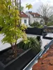 Elegant Einrichten | Pflanzkübel | Fiberglas | rechteckig | Produktbild-Vorschau 2