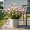 Stauden Gänge 3 x Gaura lindheimeri 'Whirling Butterflies' Produktbild-Vorschau 3