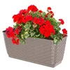 Blumenkasten Balkonkasten 300 mm aus Kunststoff- Farbe Produktbild-Vorschau 4