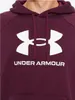 Mikina UA Rival Fleece Logo HD-MRN Náhled obrázku produktu 11