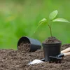 Saat-Erde 5 l - Hochwertig - Nährstoffreich - Für Garten Produktbild-Vorschau 15