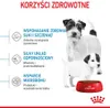 ROYAL CANIN Mini Starter Mother & Babydog 1kg Hündinnen Produktbild-Vorschau 7
