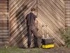 Stanley Fatmax FXWT-706 Sackkarre klappbar Aluminium Náhľad obrázku produktu 18