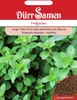 Majoran | Majoransamen von Dürr Samen Produktbild-Vorschau 3