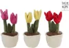Großhandel GmbH - Ware Take Me Home - Tulpen Plüsch, 3-fach Produktbild-Vorschau 1