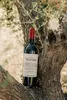 A bottle of red wine rests on the textured bark of an olive tree, with branches and leaves framing the scene. Produktbild-Vorschau