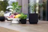 A table setting with plants and fruit. Voir les images du produit