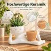 Blumentopf für Sukkulenten, lustiger Pflanztopf mit Produktbild-Vorschau 4