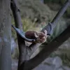 Chauve-souris Animigos en peluche Voir les images du produit 3