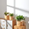 Blumentopf Übertopf Groß Blumenkübel Innen Pflanzentopf Set Produktbild-Vorschau 4