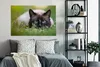 OneMillionCanvasses® - Leinwandbilder - 140x90 cm, Katze - Produktbild-Vorschau 6