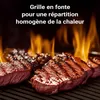 Wiltec Plaque de gril BBQ semi-circulaire – 55 x 26,5 x 1,5 Voir les images du produit 5