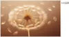 Copertura magnetica per il radiatore. Tappeto decorativo - Anteprima dell’immagine prodotto 3