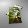 Bild auf Leinwand - Leinwandbild - Pfad Natur Wald Grün - Produktbild-Vorschau 2