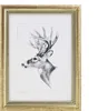 A framed picture of a deer. Produktbild-Vorschau