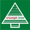 Triumph Tree Bristlecone Kunstkerstboom - Kerstversiering Productafbeelding-voorbeeld 10