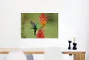 MuchoWow® Poster Vogel - Kolibri - Blumen 90x60 cm - Produktbild-Vorschau 5