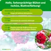 Purgrün Geraniendünger 1 Liter, Produktbild-Vorschau 3