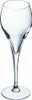 A clear, professional studio shot of a single champagne flute. Anteprima dell’immagine prodotto