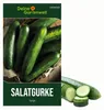 Salatgurke Tanja Samen - Cucumis sativus - Gurkensamen - Produktbild-Vorschau 1