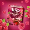 Loyd Grzaniec Grzeszny Malinowy Tè invernale riscaldante Anteprima dell’immagine prodotto 4