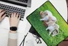 MuchoWow® Laptop Hülle 14 ZollNahaufnahme von Kätzchen in Produktbild-Vorschau 2
