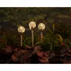 Solarbetriebene Außenlampe 24,5 cm 6 Stk. Produktbild-Vorschau 3