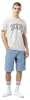 Dickies Garyville Kurze Jeans Blau 34 Mann Blau 34 Produktbild-Vorschau 8
