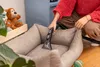 A person is cleaning a dog bed with a Kärcher cleaning device. Anteprima dell’immagine prodotto