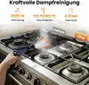 Dampfreiniger, 2500W Tragbarer Handdampfreiniger Produktbild-Vorschau 4