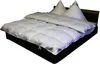 Betten Hofmann 8cm Hochsteg Winter Daunenbett Daunendecke Produktbild-Vorschau 1