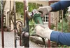 Bosch PWS 750-115 Winkelschleifer 750 Watt 115 mm ( Produktbild-Vorschau 13