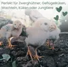 Futtertrog Metall Küken Futterautomat Hühner Zubehör Produktbild-Vorschau 6