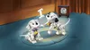 LEGO® Disney Les chiots Lucky et Penny des 101 Dalmatiens Voir les images du produit 42