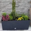 Prosperplast Blumentopf | Rato Case | Schwarz | 60 cm Produktbild-Vorschau 2