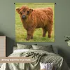 MuchoWow® Wandteppich Wandbehang Schottisches Hochlandrind Produktbild-Vorschau 4