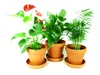 Articles divers Voir les images du produit 6